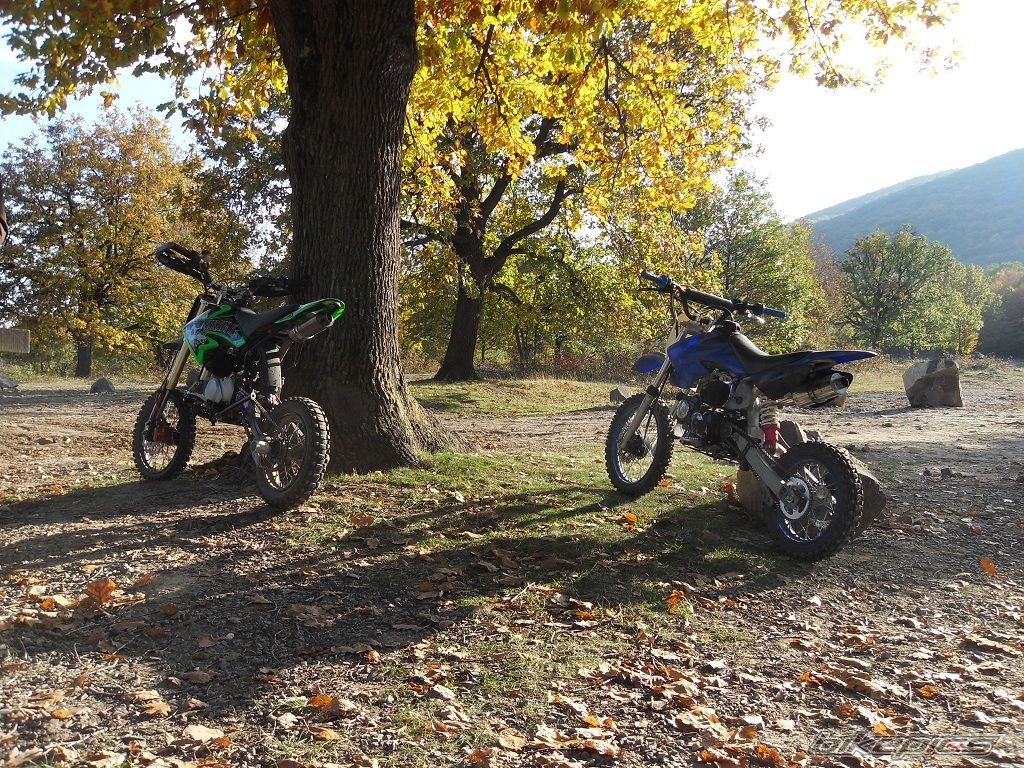 Photo 2531028