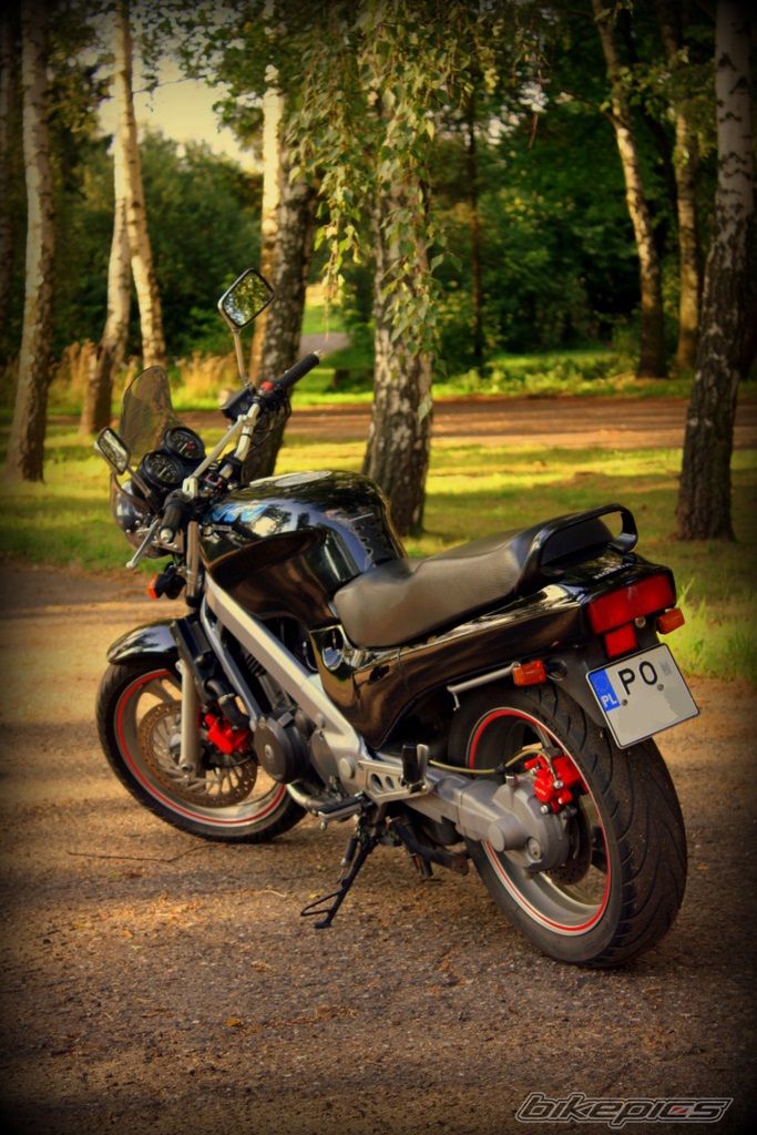 Bike Photo 2531031