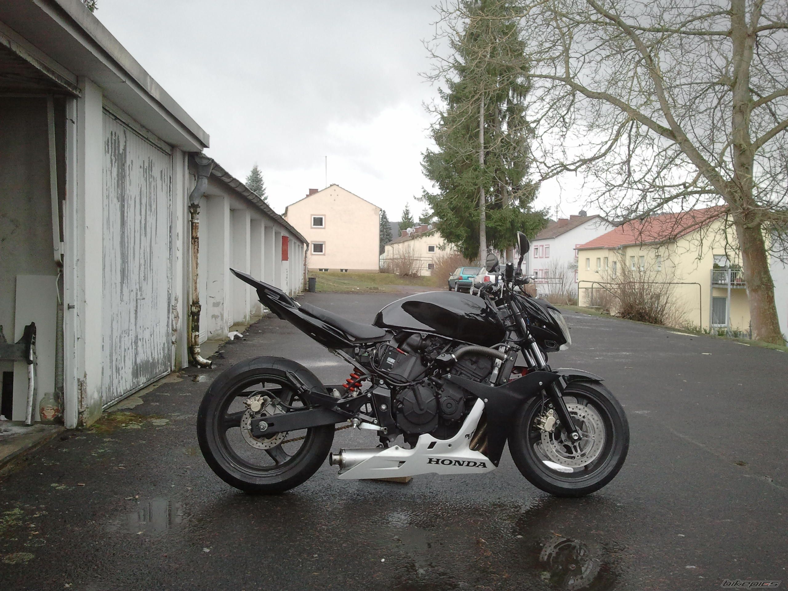 Photo 2531034