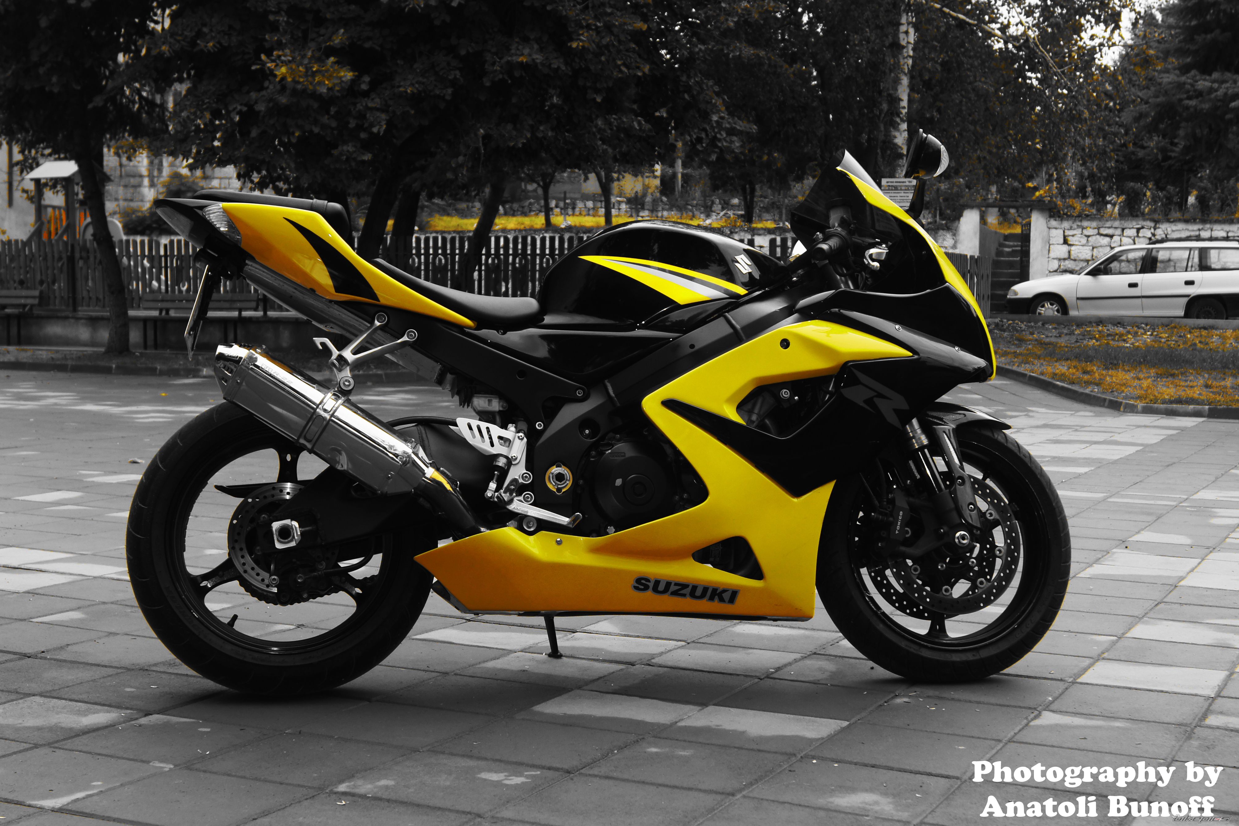 Photo 2531081