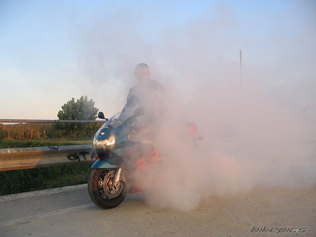 Photo 2531105