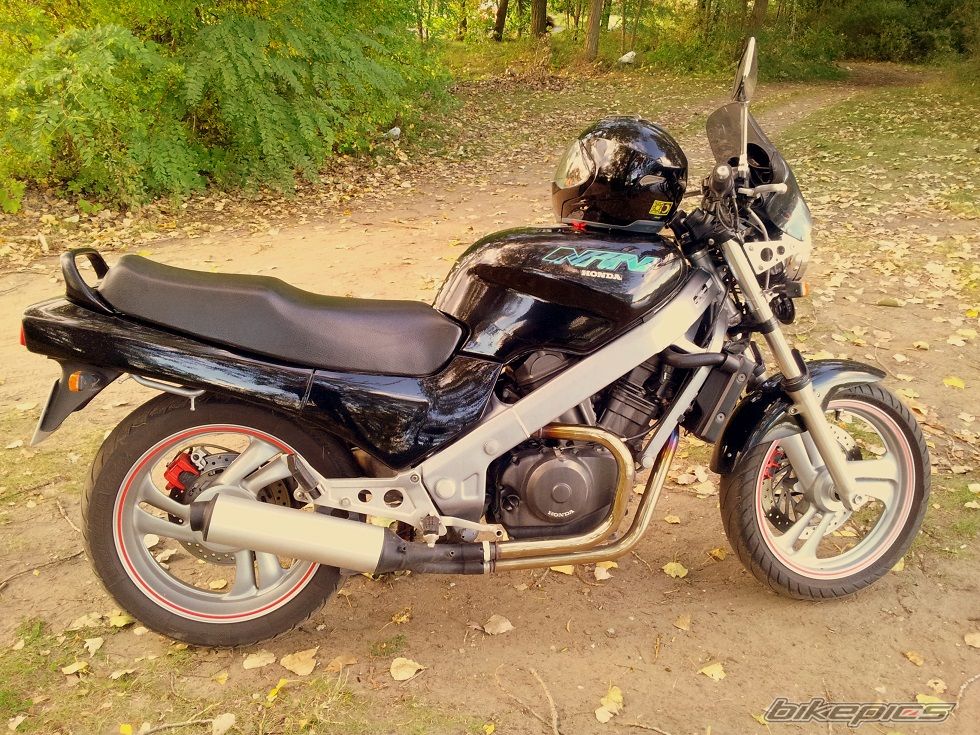 Photo 2531158