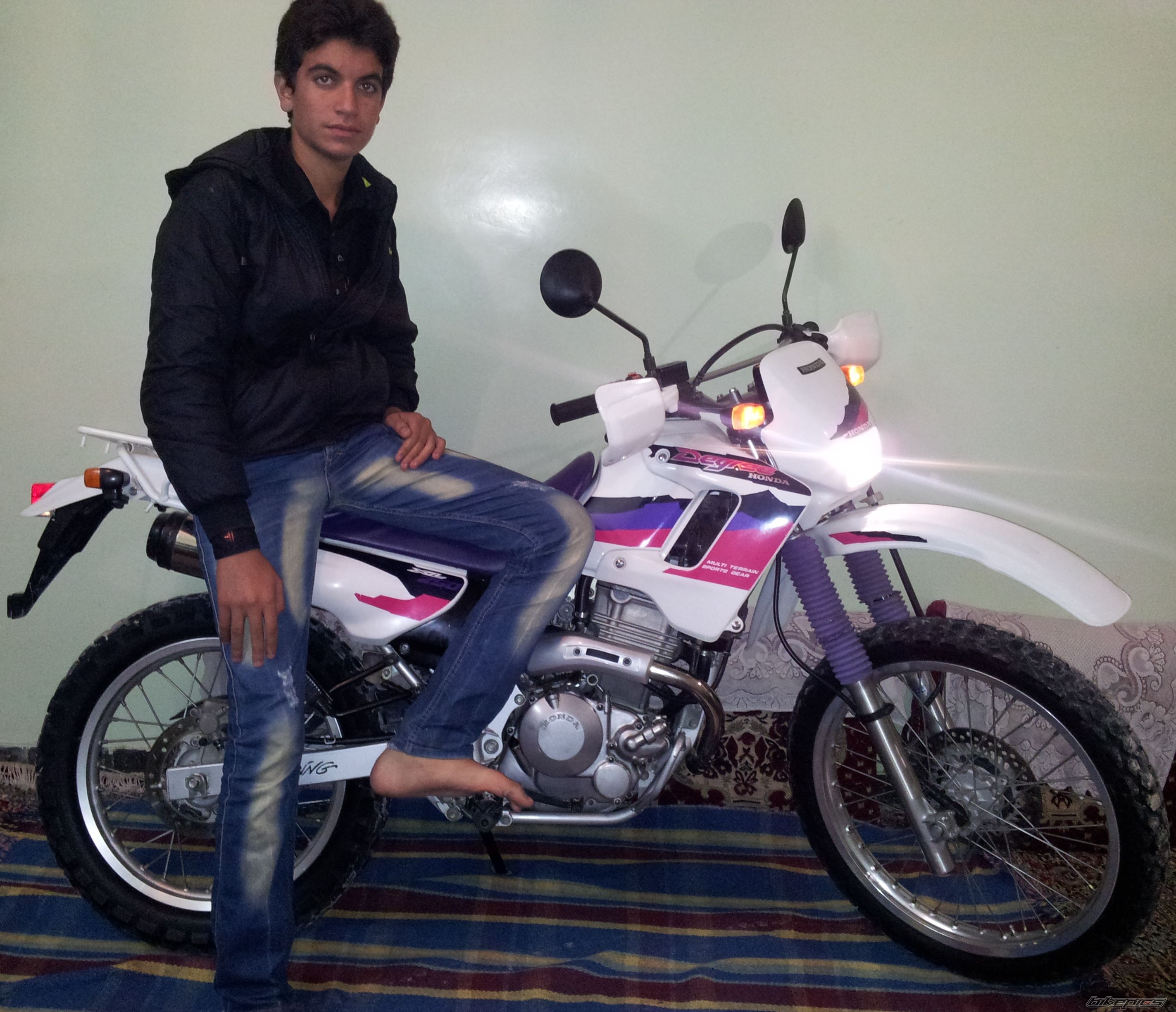 Photo 2531282