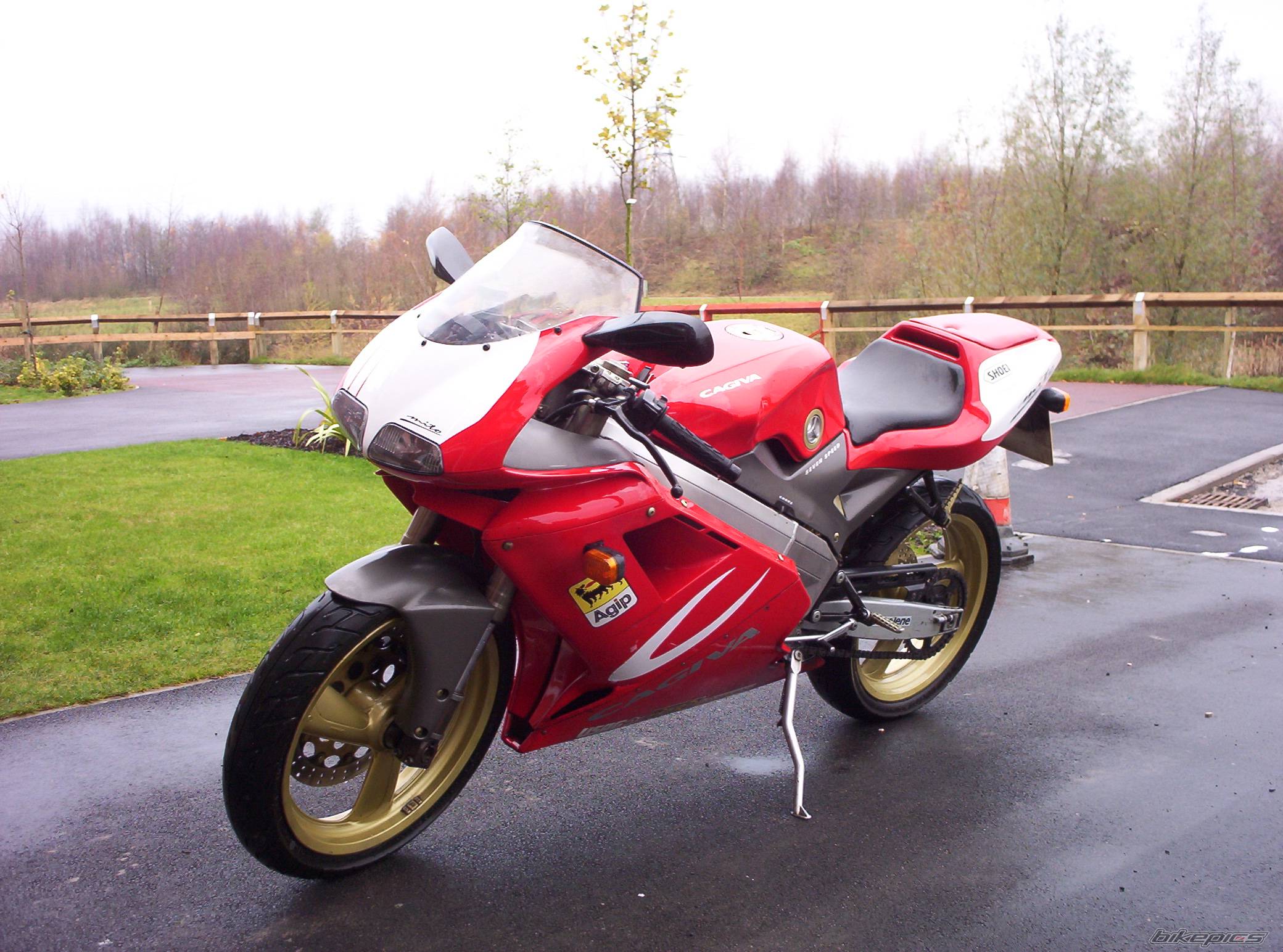Bike Photo 253131