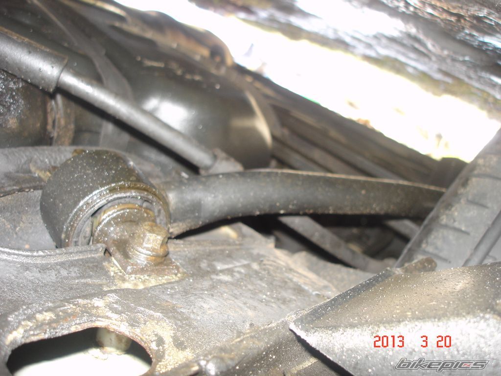 Photo 2531319