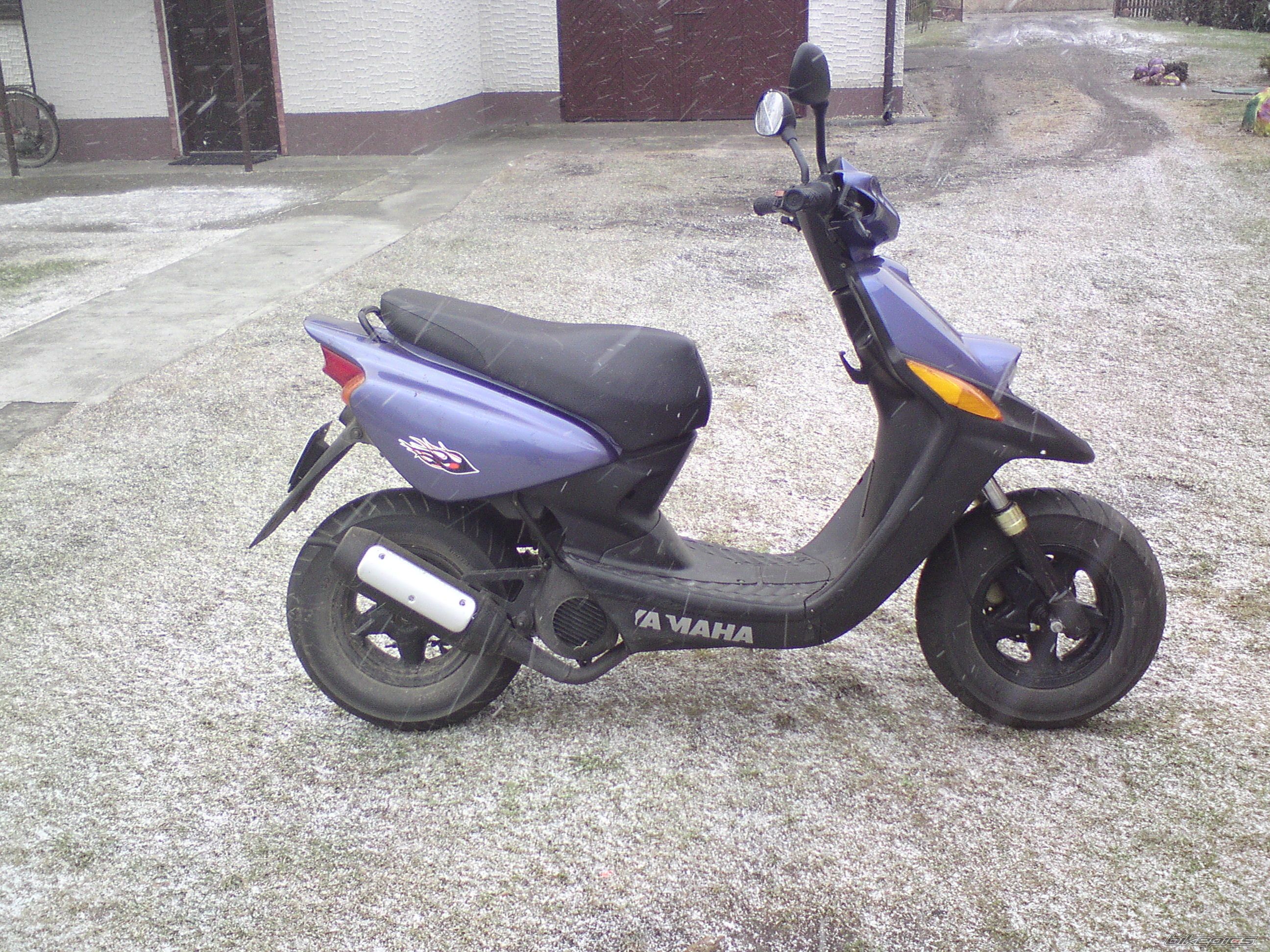Photo 2531326