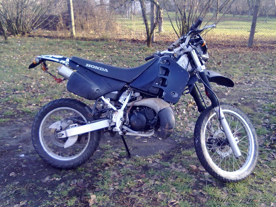 Photo 2531335