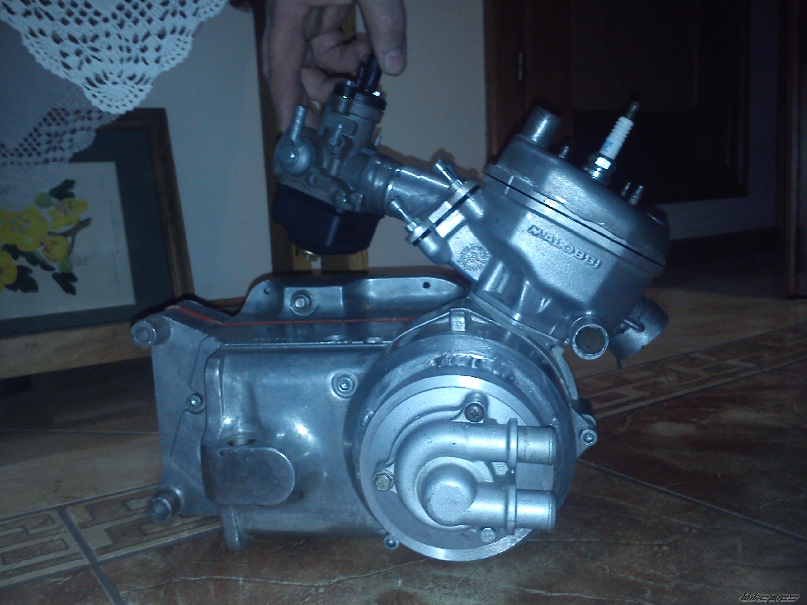 Photo 2531379