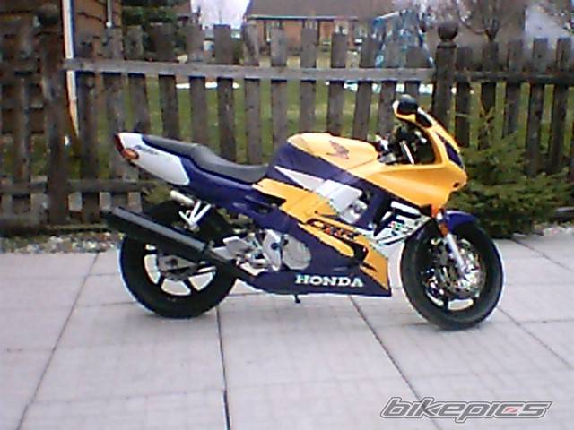 Photo 253141