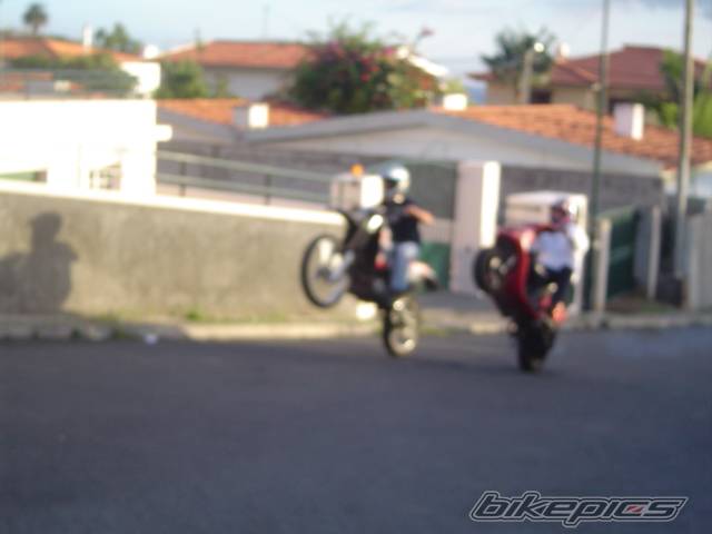 Photo 253143