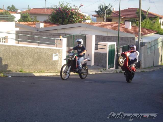 Photo 253144