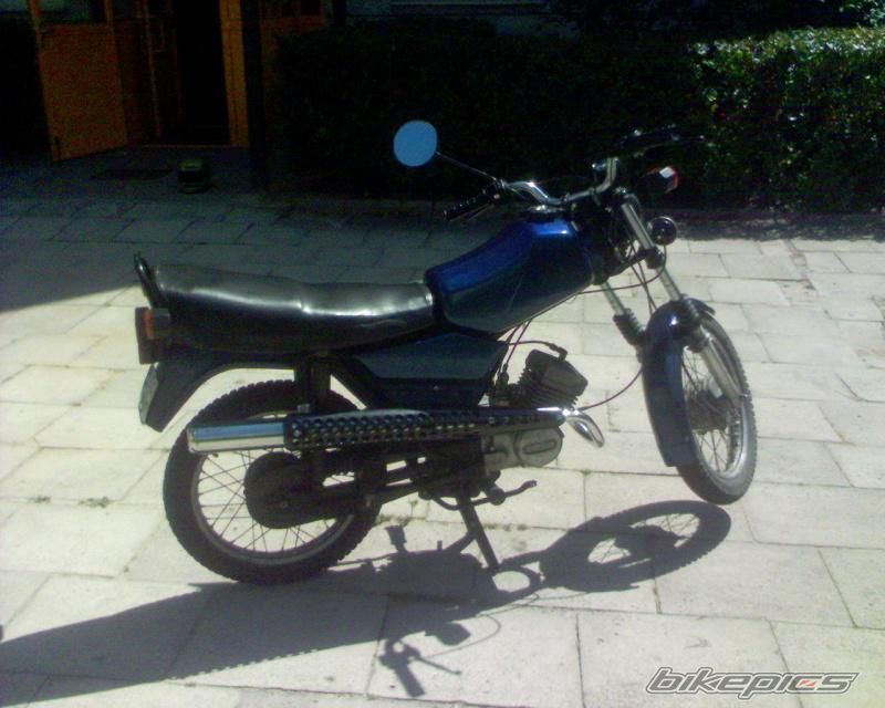Photo 2531461
