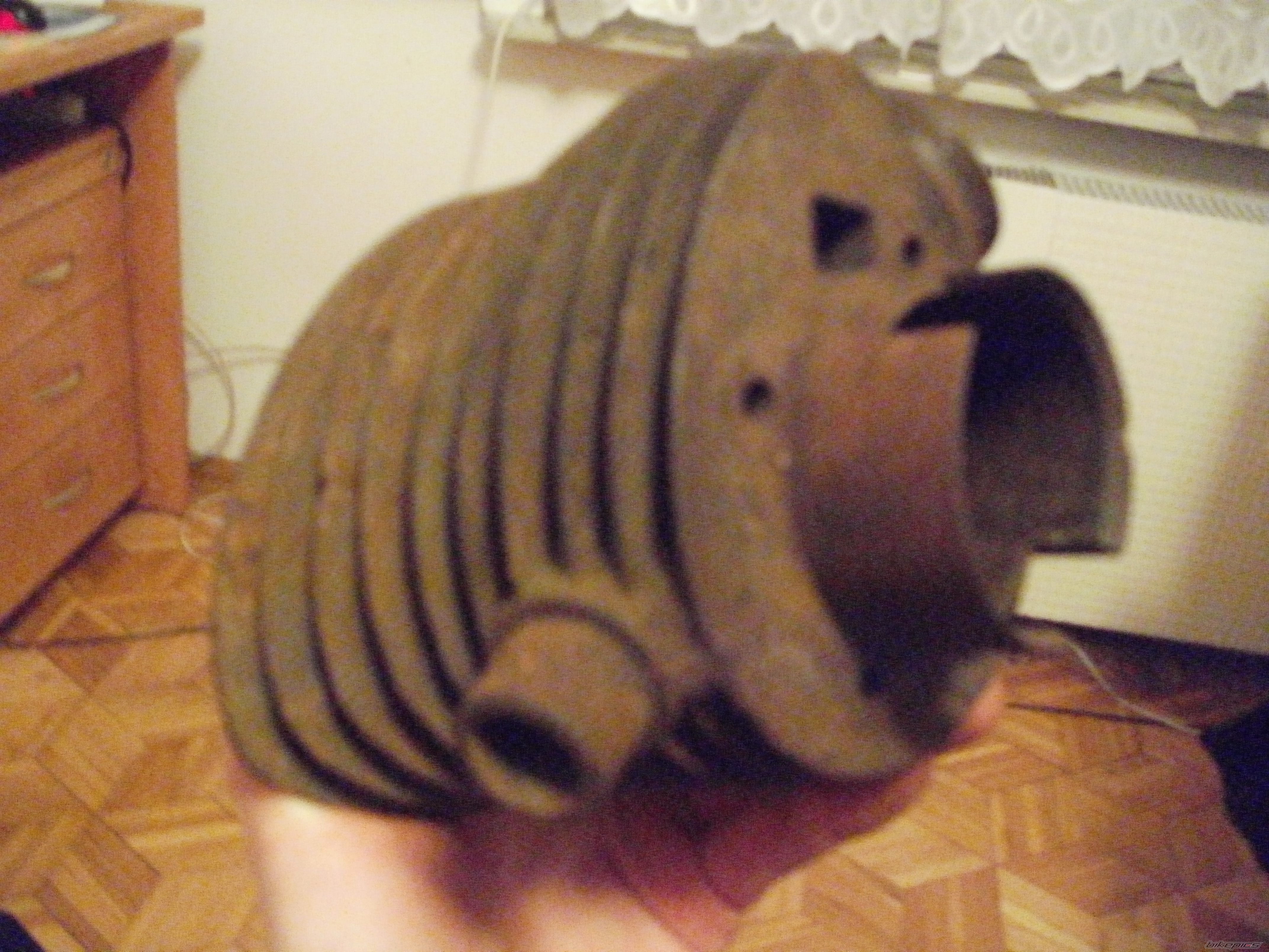 Photo 2531486