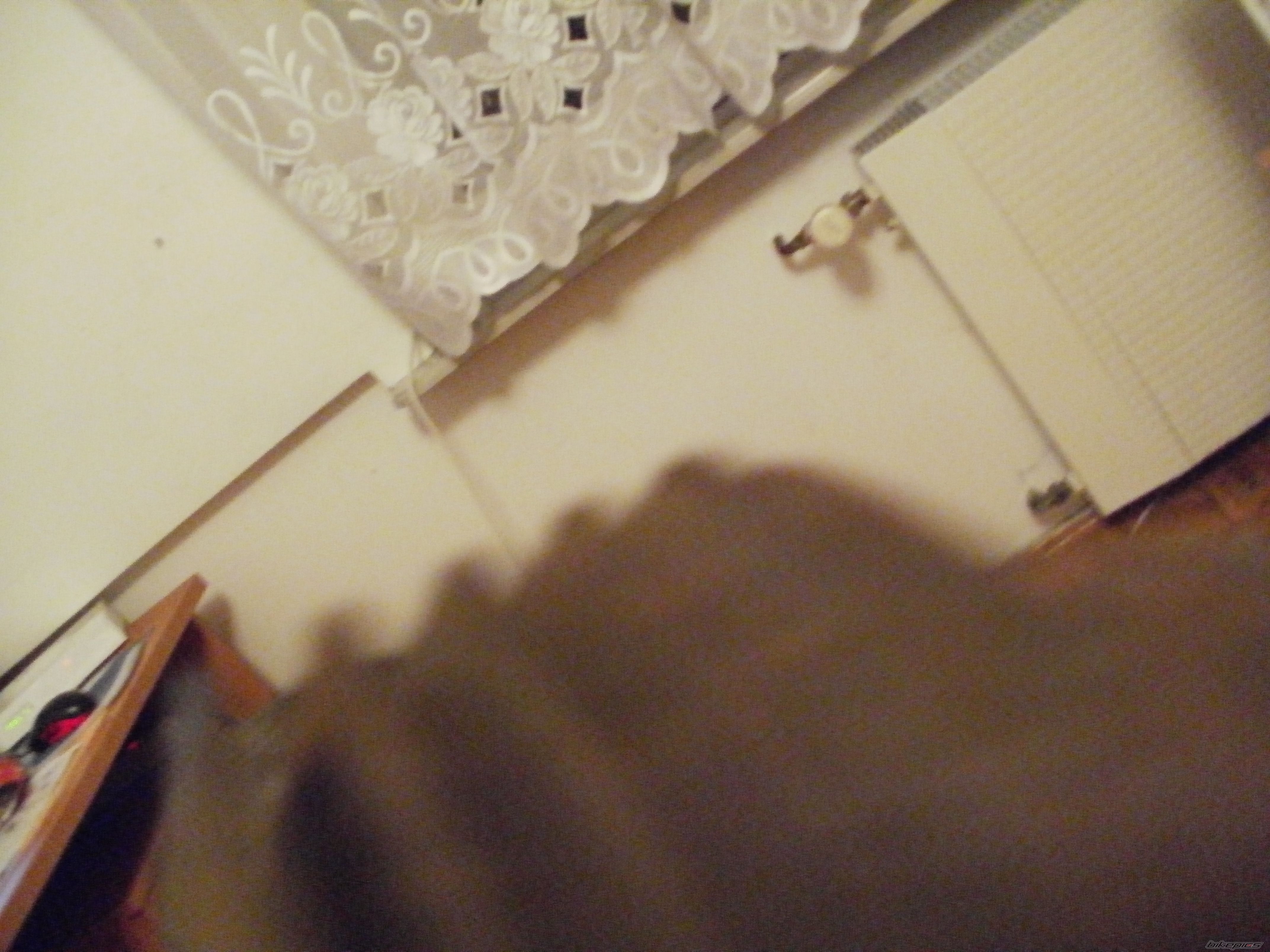 Photo 2531492