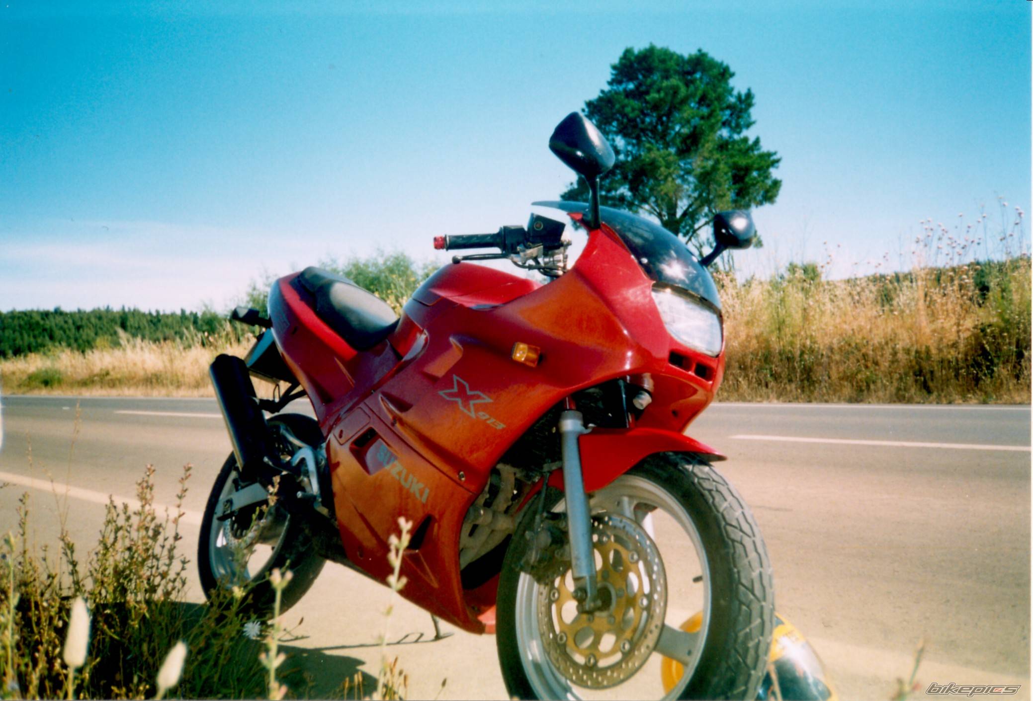 Photo 253159