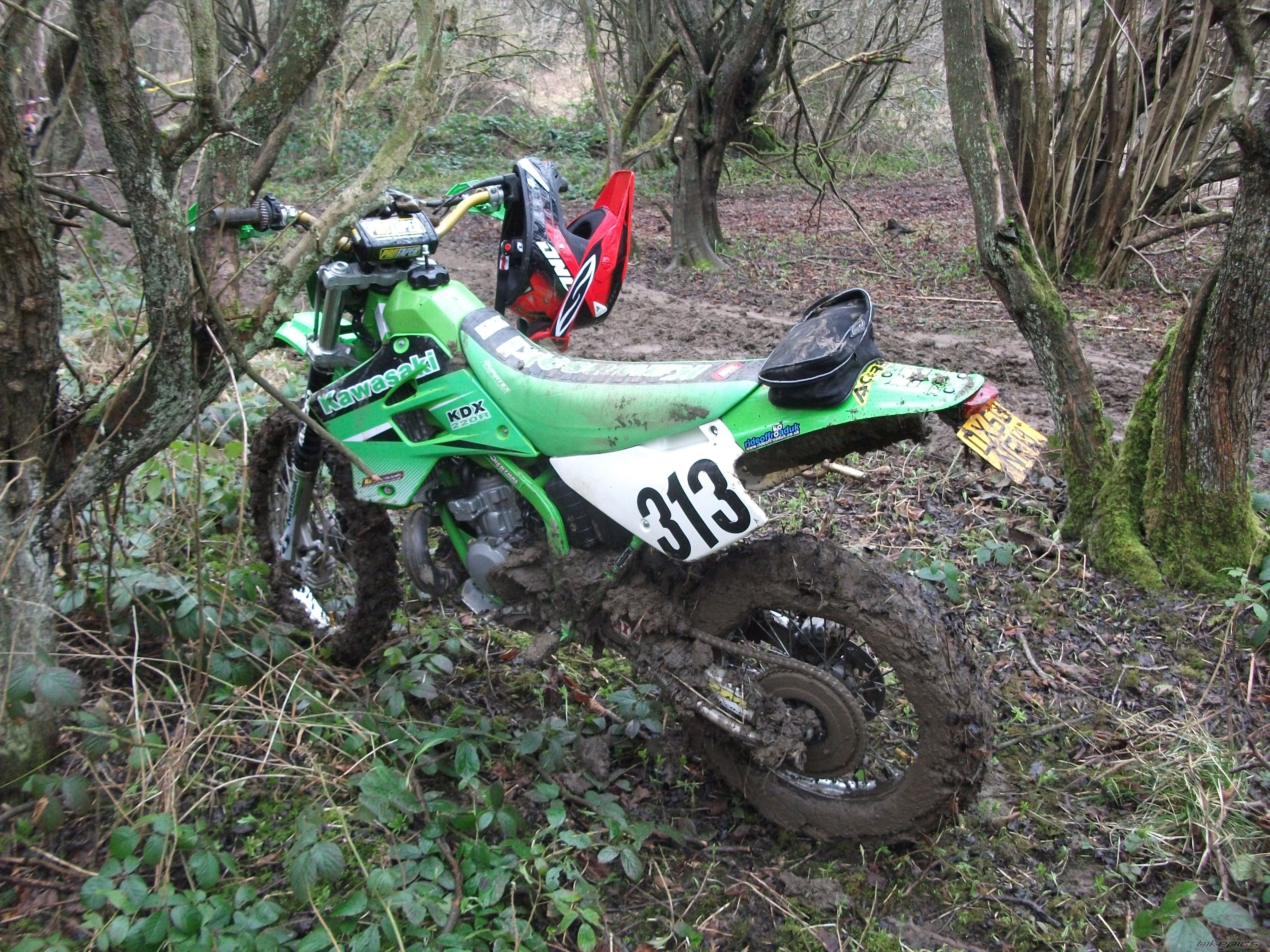 Photo 2531617