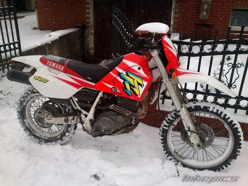 Photo 2531693