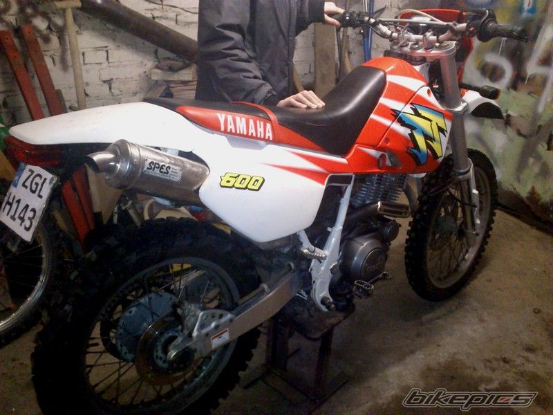 Photo 2531695