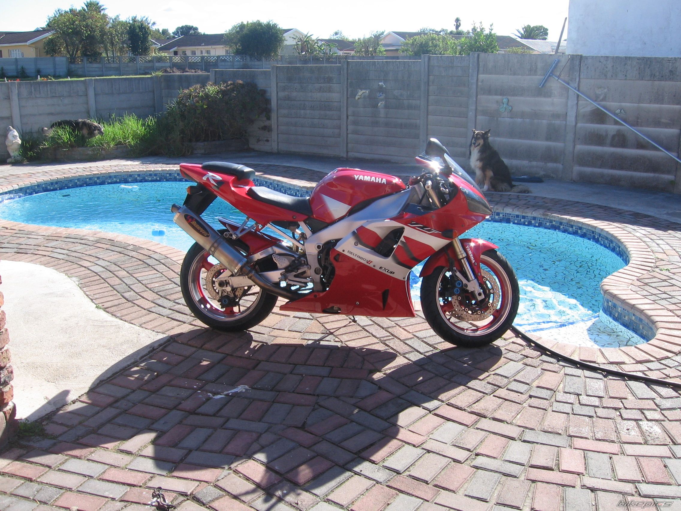 Bike Photo 2531746