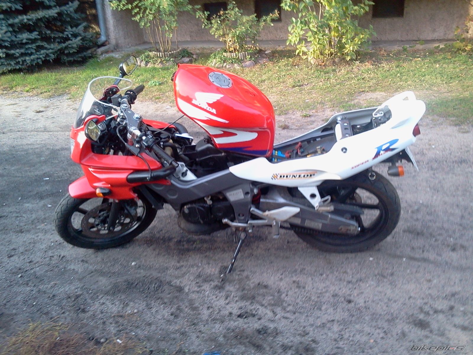 Photo 2531811