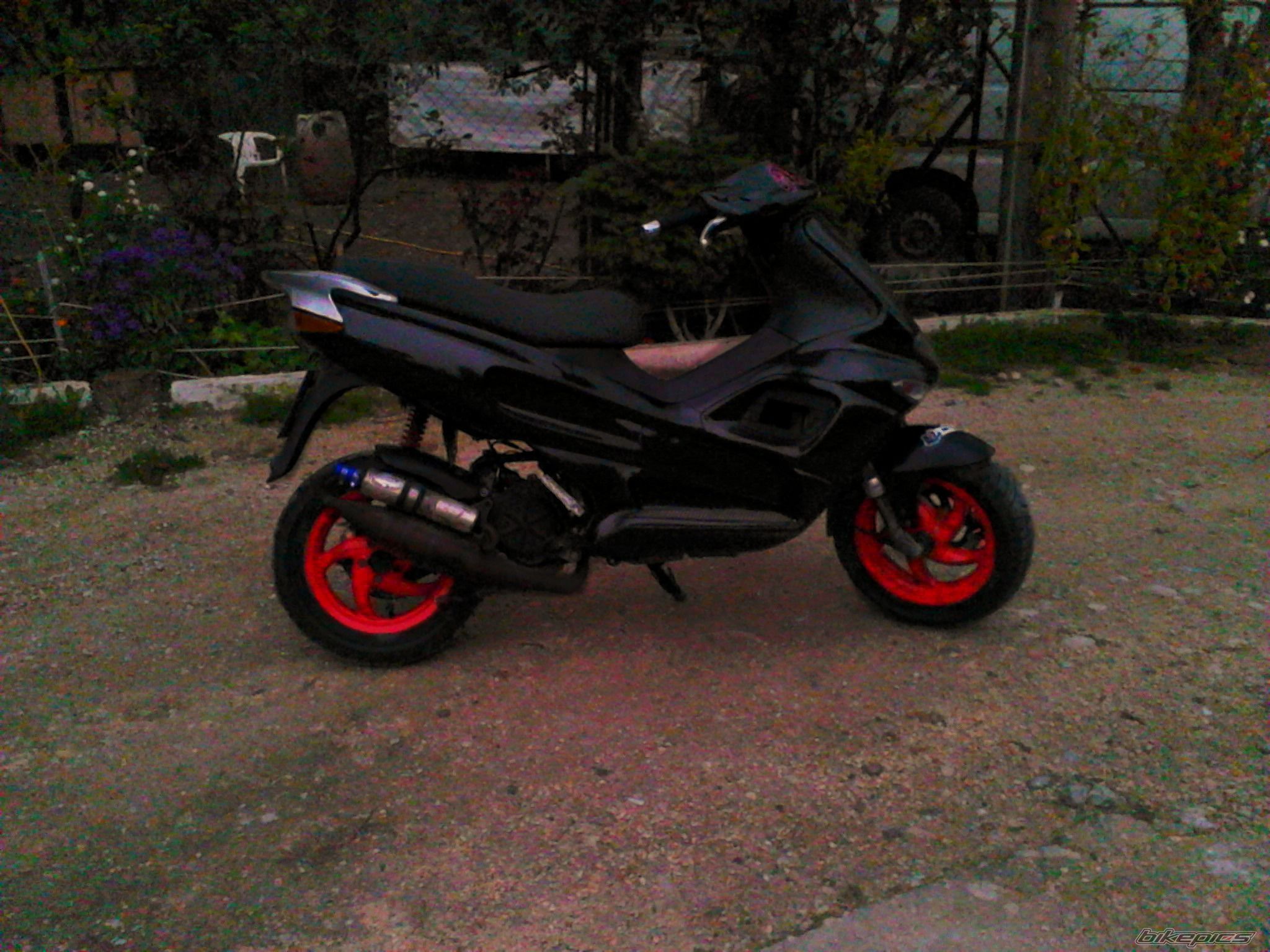 Photo 2531813
