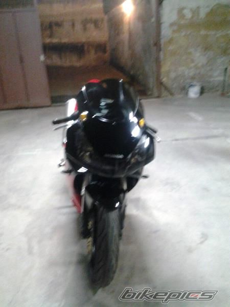 Photo 2531859