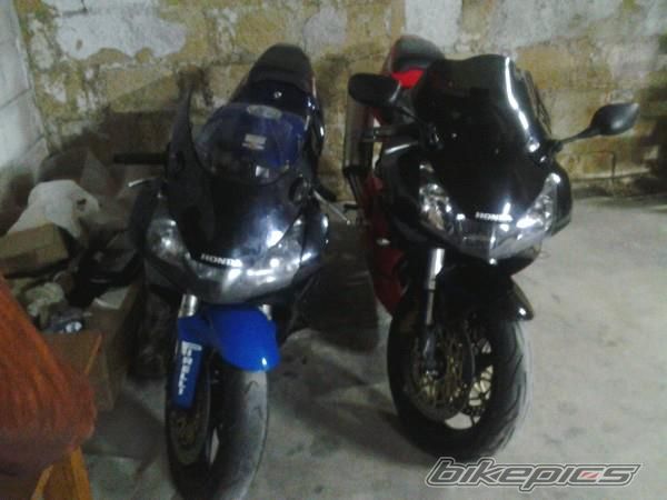 Photo 2531861
