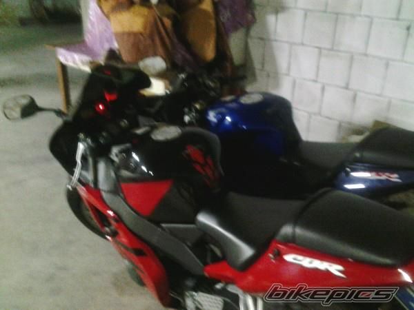 Photo 2531866