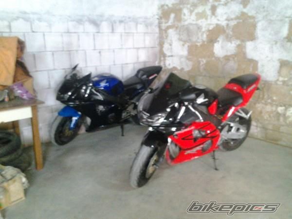 Photo 2531868