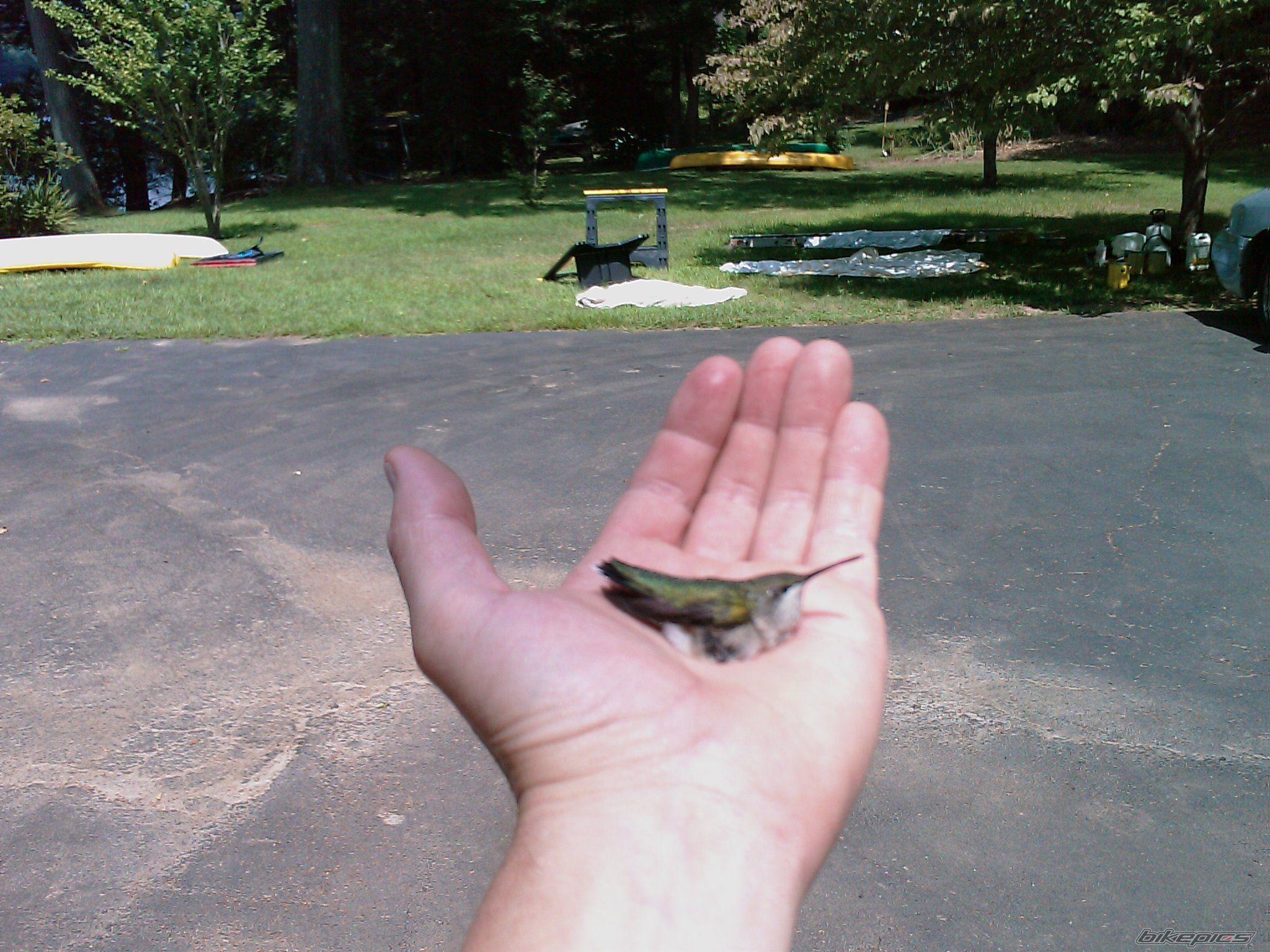 Photo 2531875