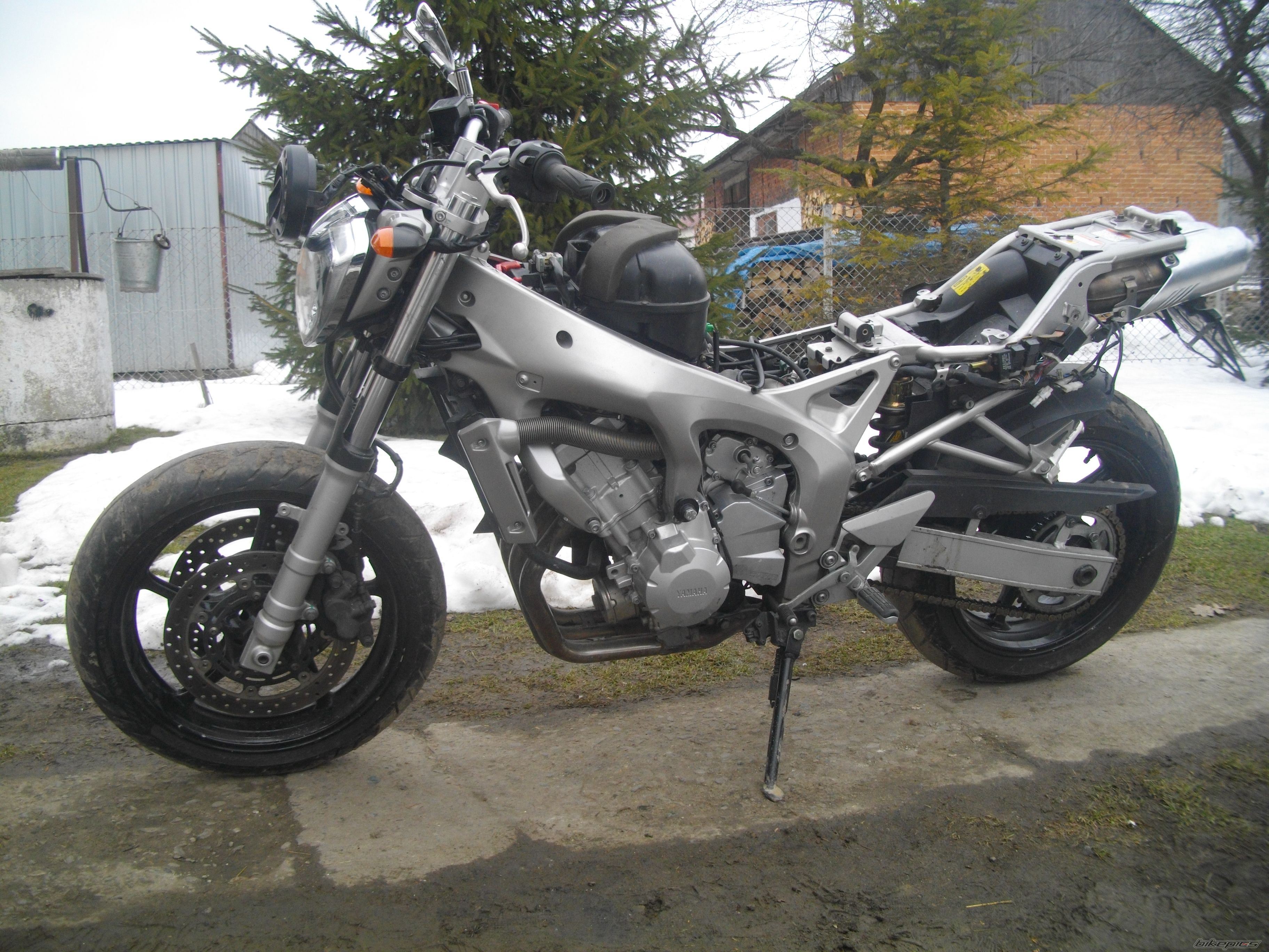 Photo 2531879