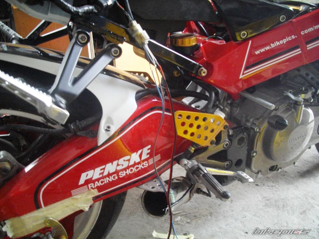 Photo 2531896