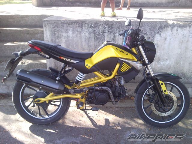 Photo 2531982