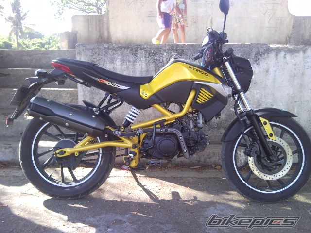 Photo 2531983