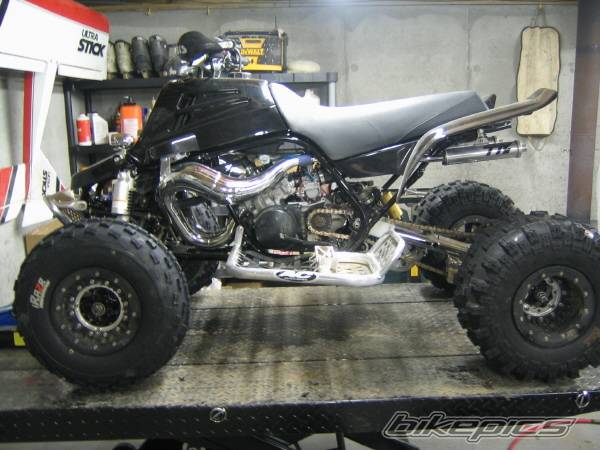 Photo 253214