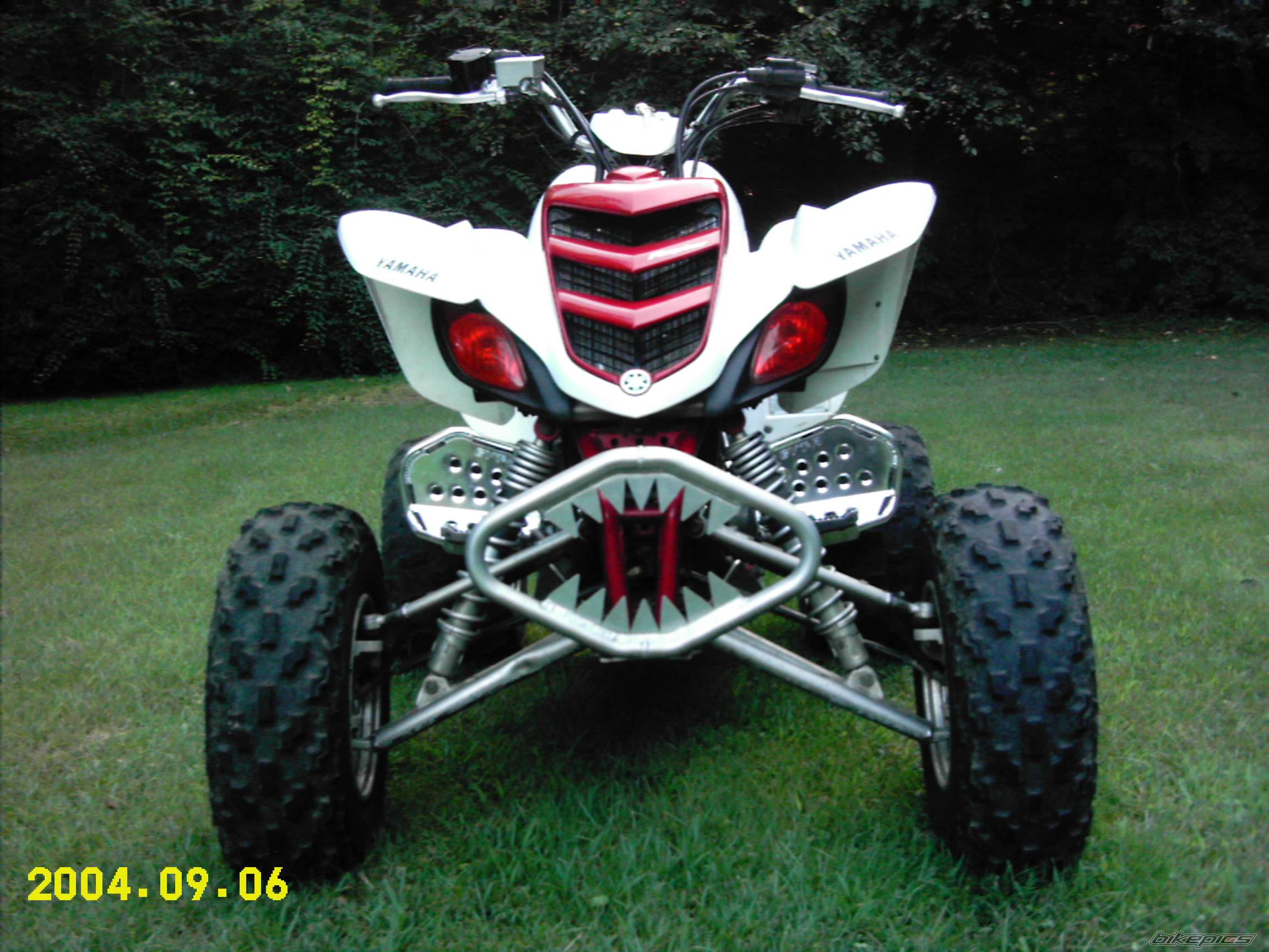 Photo 253215