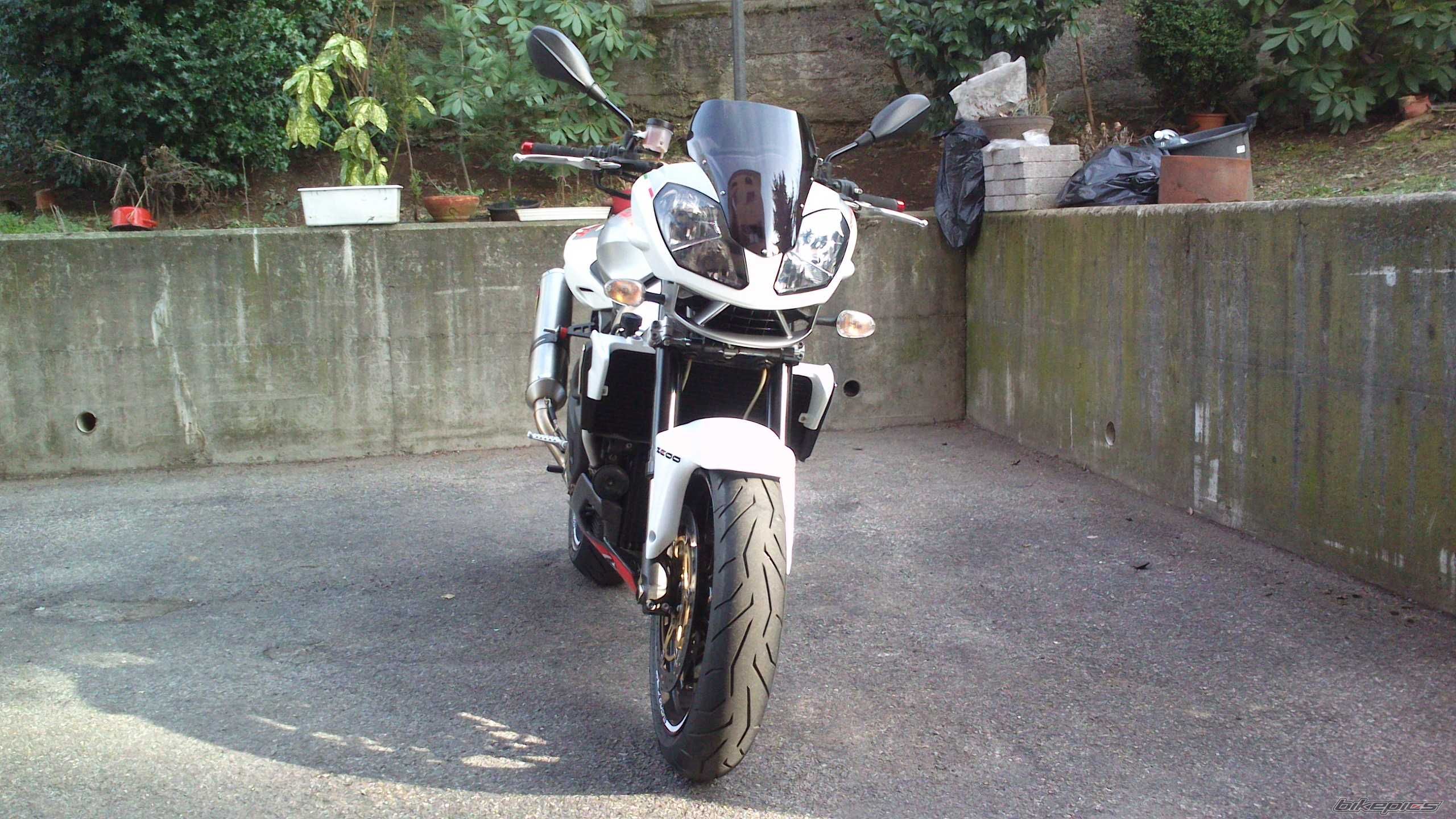 Photo 2532159