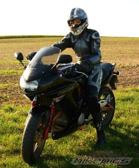 Photo 2532183