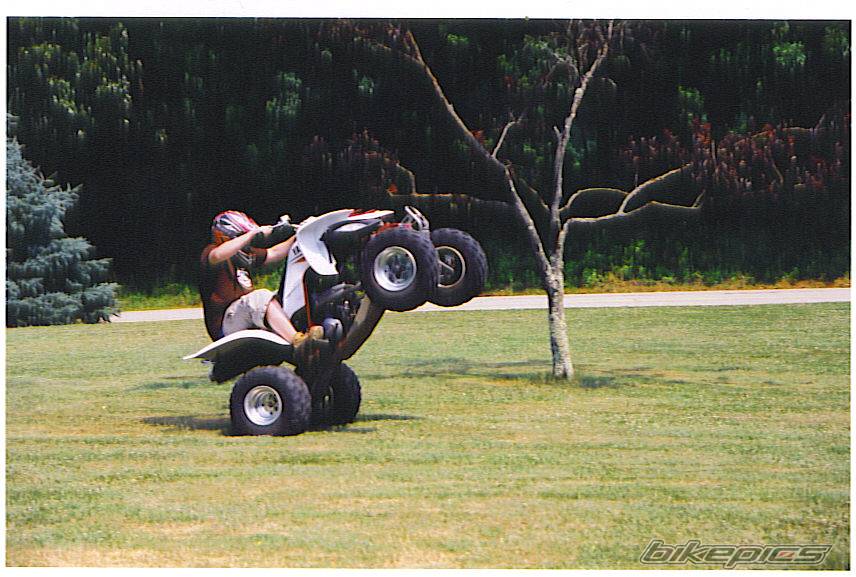 Photo 253230