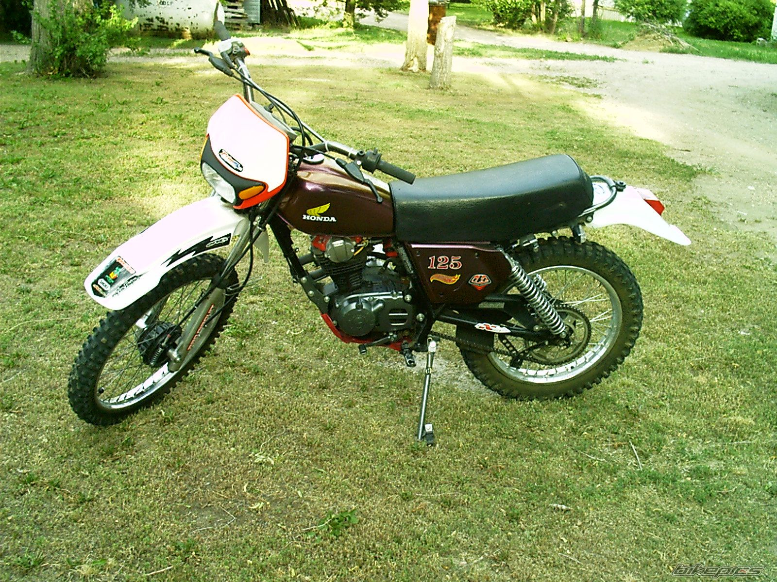 Photo 2532305