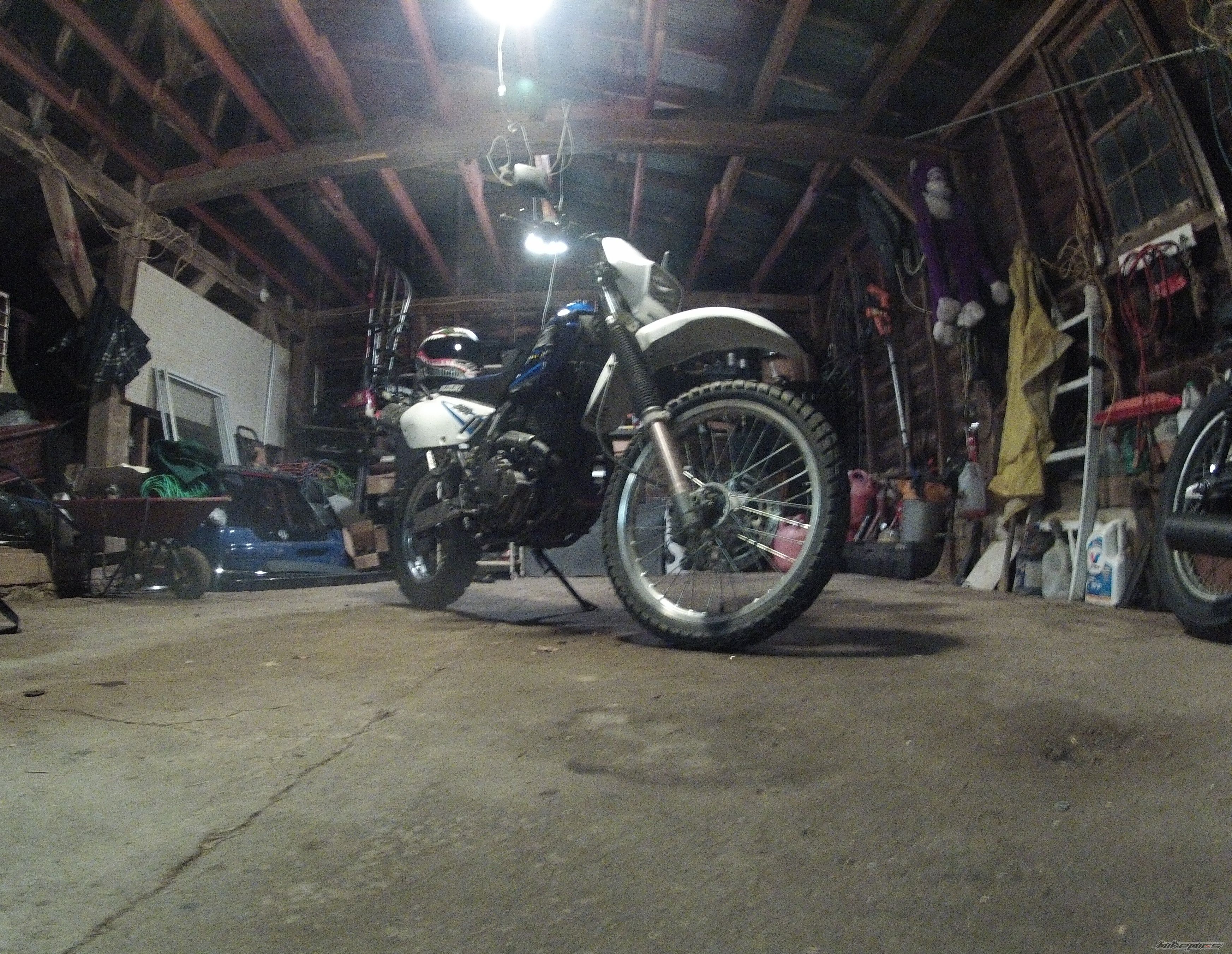 Photo 2532319
