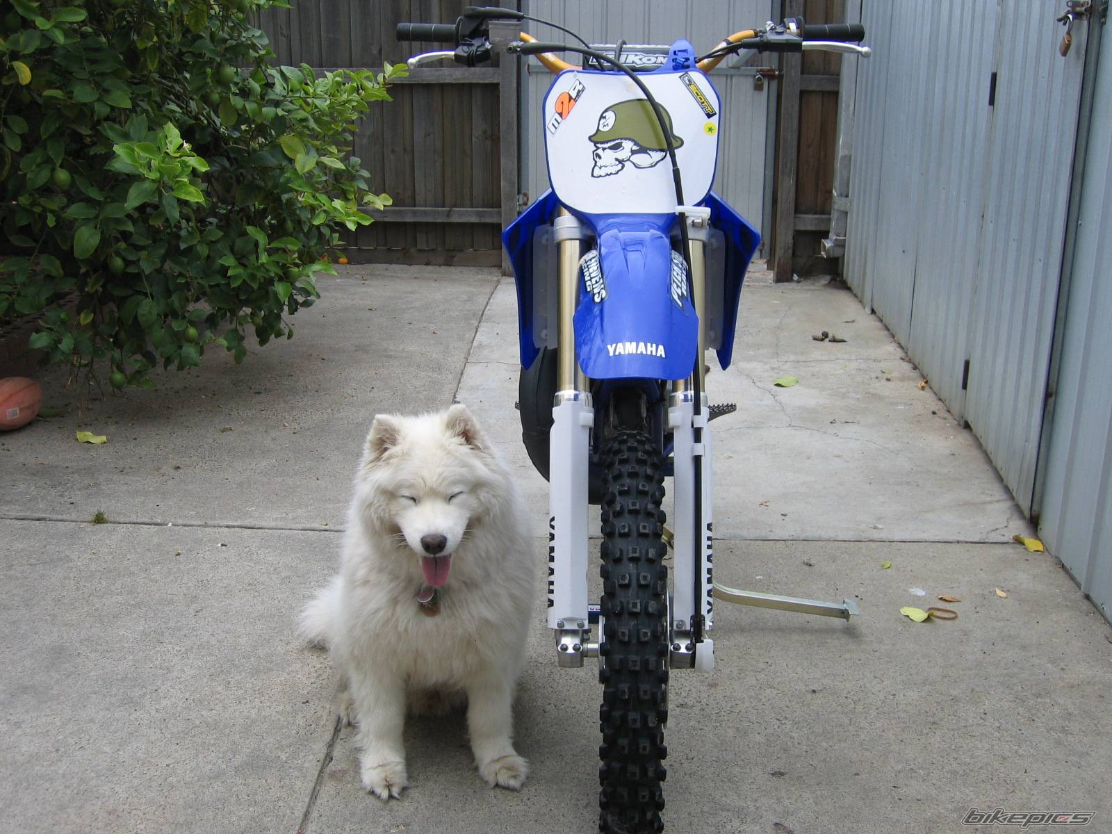 Photo 253236