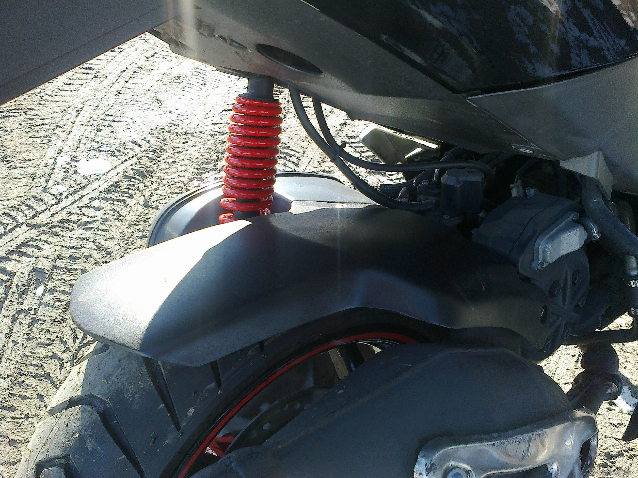 Photo 2532425