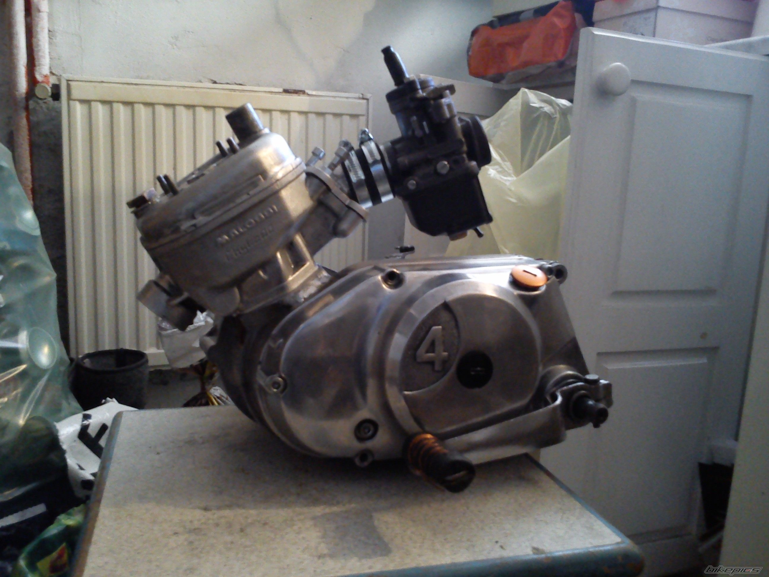 Photo 2532454