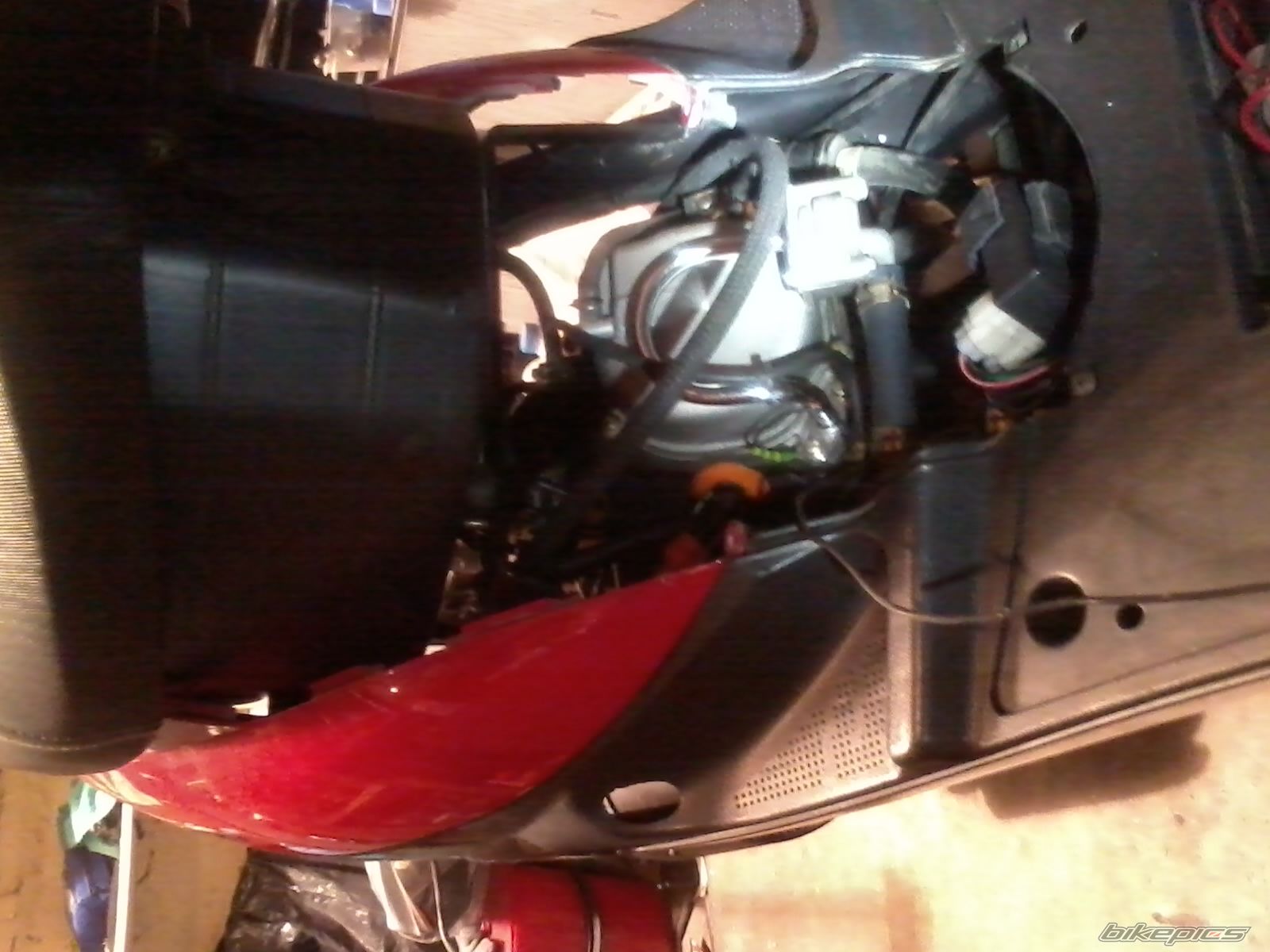 Photo 2532523