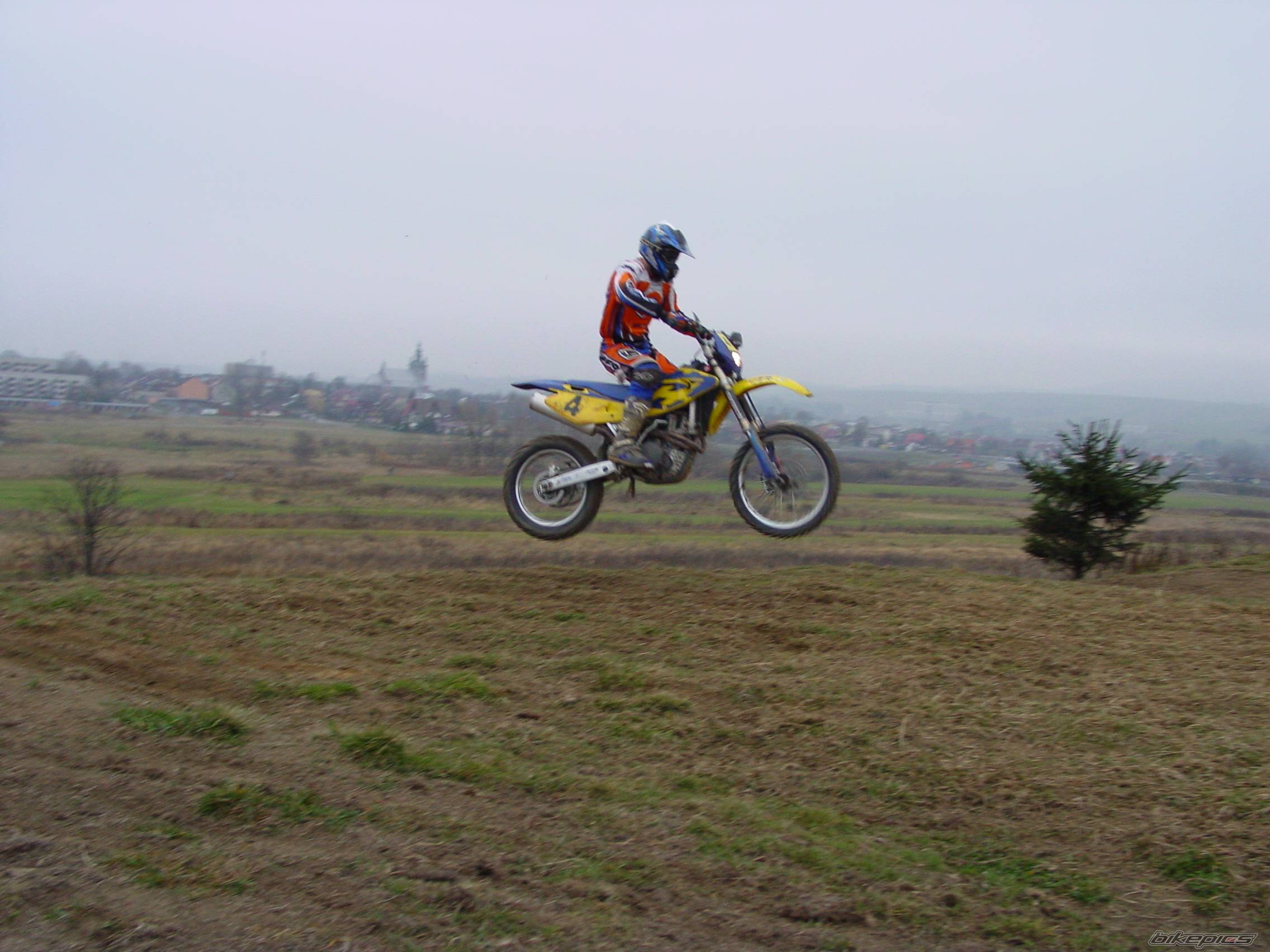 Photo 253271