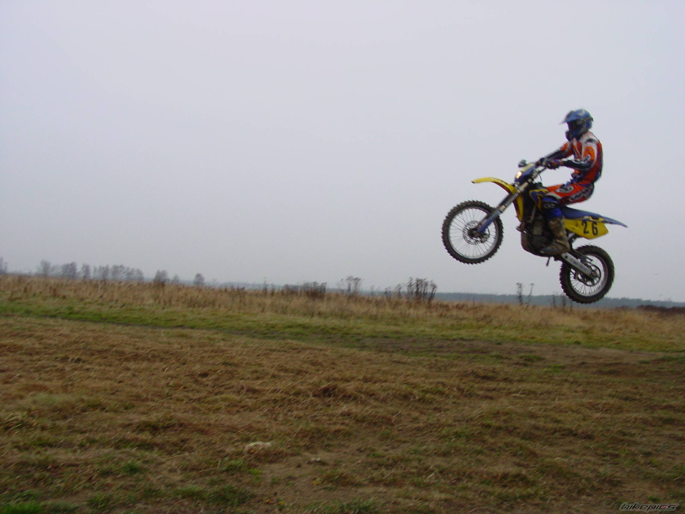 Photo 253274