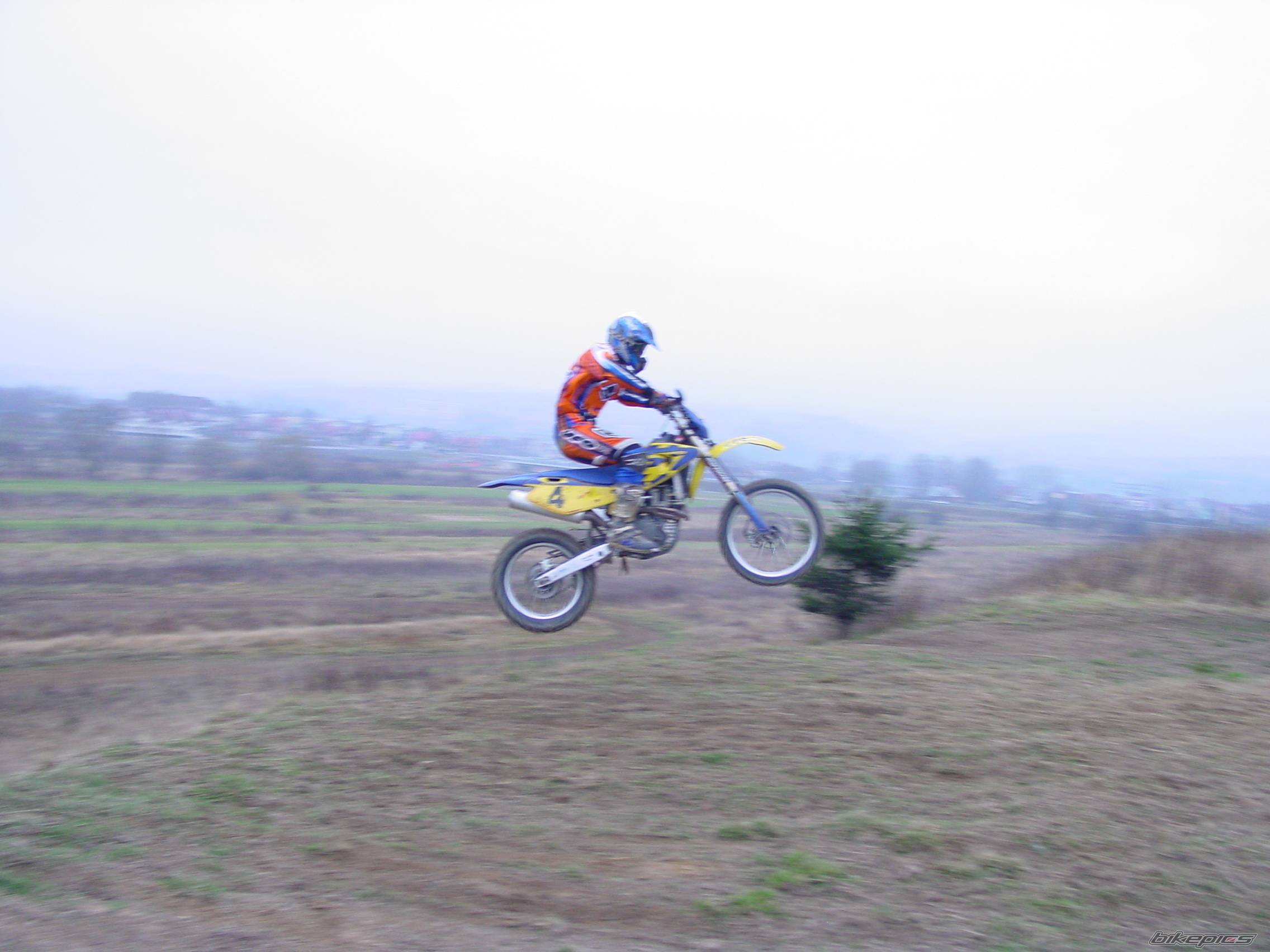 Photo 253276