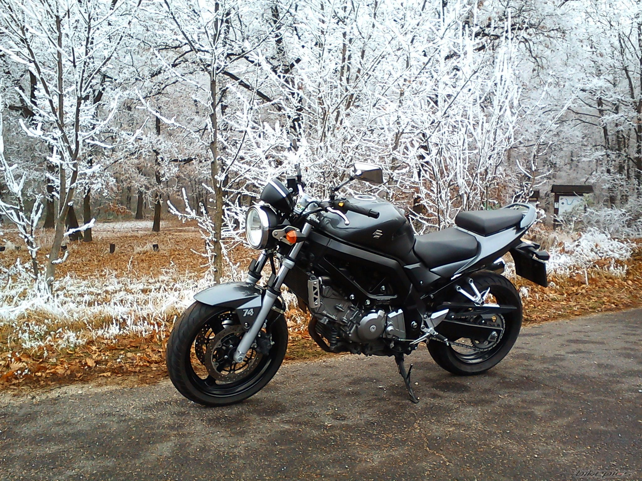 Photo 2532786