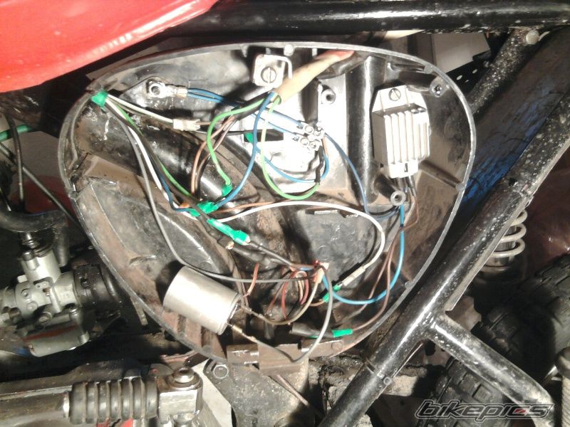 Photo 2532809